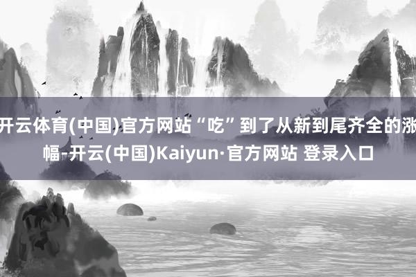 开云体育(中国)官方网站“吃”到了从新到尾齐全的涨幅-开云(中国)Kaiyun·官方网站 登录入口