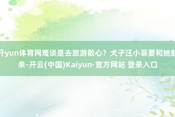 开yun体育网难谈是去旅游散心？犬子汪小菲要和她断亲-开云(中国)Kaiyun·官方网站 登录入口