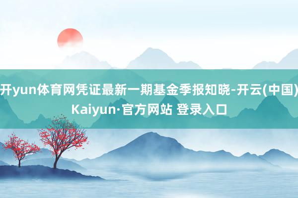 开yun体育网凭证最新一期基金季报知晓-开云(中国)Kaiyun·官方网站 登录入口