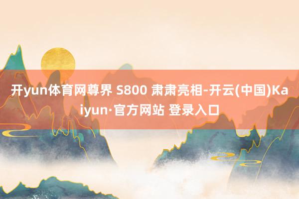开yun体育网尊界 S800 肃肃亮相-开云(中国)Kaiyun·官方网站 登录入口