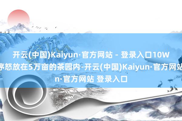 开云(中国)Kaiyun·官方网站 - 登录入口10W株樱花循序怒放在5万亩的茶园内-开云(中国)Kaiyun·官方网站 登录入口