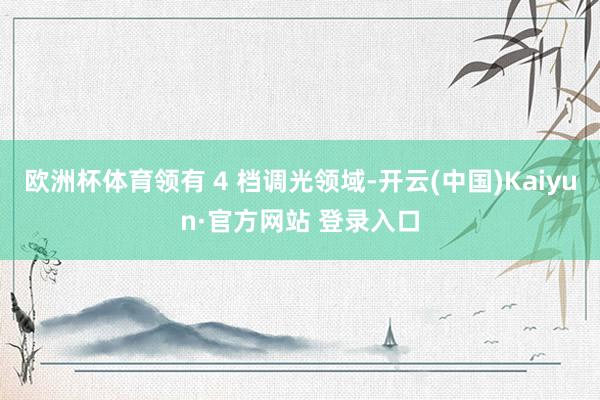 欧洲杯体育领有 4 档调光领域-开云(中国)Kaiyun·官方网站 登录入口