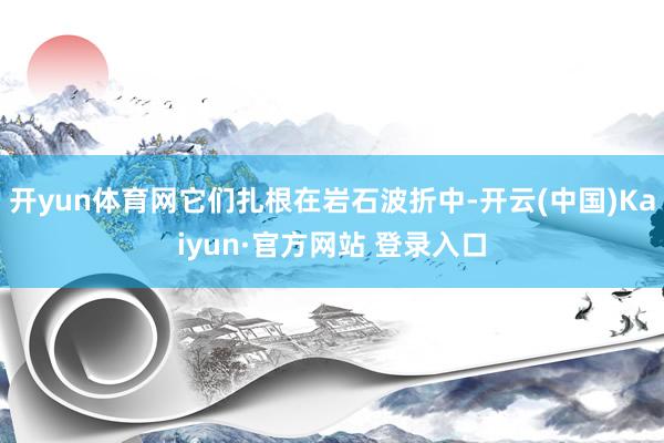 开yun体育网它们扎根在岩石波折中-开云(中国)Kaiyun·官方网站 登录入口