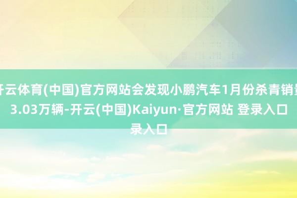 开云体育(中国)官方网站会发现小鹏汽车1月份杀青销量3.03万辆-开云(中国)Kaiyun·官方网站 登录入口