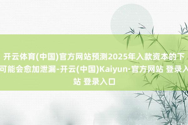 开云体育(中国)官方网站预测2025年入款资本的下落可能会愈加泄漏-开云(中国)Kaiyun·官方网站 登录入口