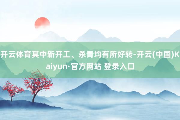 开云体育其中新开工、杀青均有所好转-开云(中国)Kaiyun·官方网站 登录入口