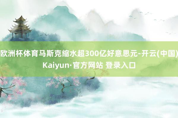 欧洲杯体育马斯克缩水超300亿好意思元-开云(中国)Kaiyun·官方网站 登录入口