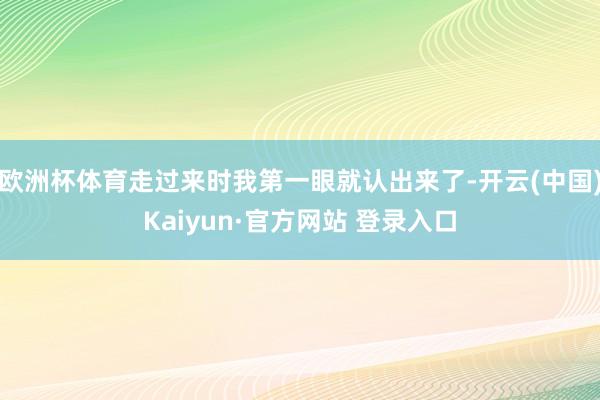 欧洲杯体育走过来时我第一眼就认出来了-开云(中国)Kaiyun·官方网站 登录入口