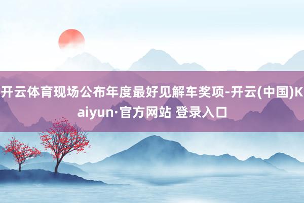 开云体育现场公布年度最好见解车奖项-开云(中国)Kaiyun·官方网站 登录入口