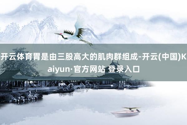 开云体育胃是由三股高大的肌肉群组成-开云(中国)Kaiyun·官方网站 登录入口