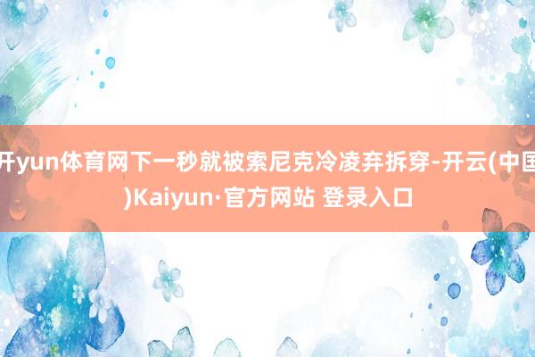 开yun体育网下一秒就被索尼克冷凌弃拆穿-开云(中国)Kaiyun·官方网站 登录入口