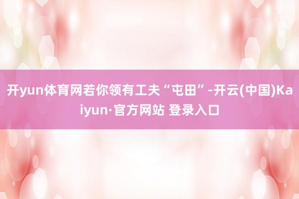 开yun体育网若你领有工夫“屯田”-开云(中国)Kaiyun·官方网站 登录入口