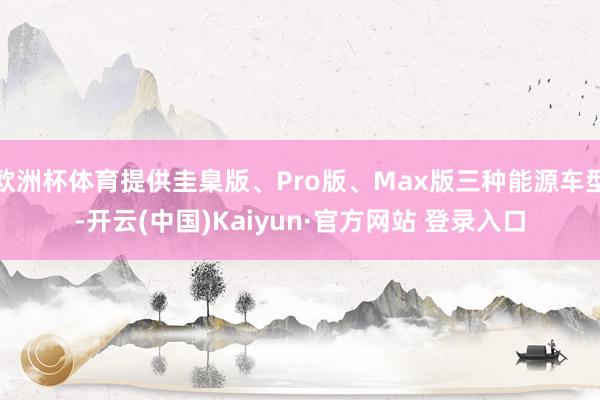 欧洲杯体育提供圭臬版、Pro版、Max版三种能源车型-开云(中国)Kaiyun·官方网站 登录入口