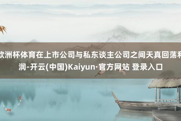 欧洲杯体育在上市公司与私东谈主公司之间天真回荡利润-开云(中国)Kaiyun·官方网站 登录入口