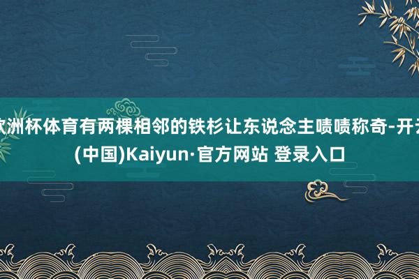 欧洲杯体育有两棵相邻的铁杉让东说念主啧啧称奇-开云(中国)Kaiyun·官方网站 登录入口