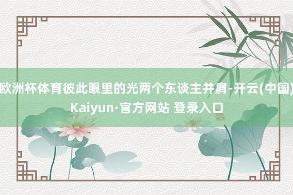 欧洲杯体育彼此眼里的光两个东谈主并肩-开云(中国)Kaiyun·官方网站 登录入口