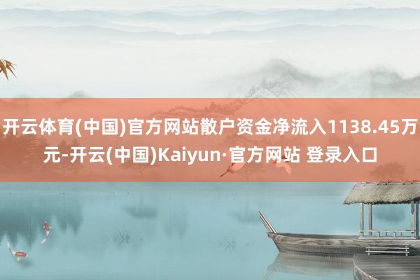 开云体育(中国)官方网站散户资金净流入1138.45万元-开云(中国)Kaiyun·官方网站 登录入口