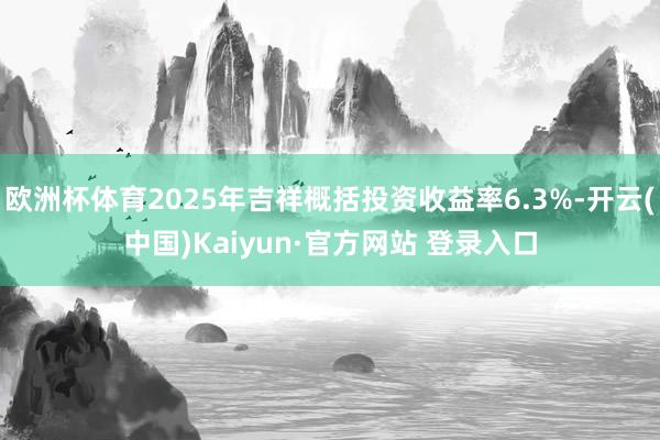 欧洲杯体育2025年吉祥概括投资收益率6.3%-开云(中国)Kaiyun·官方网站 登录入口