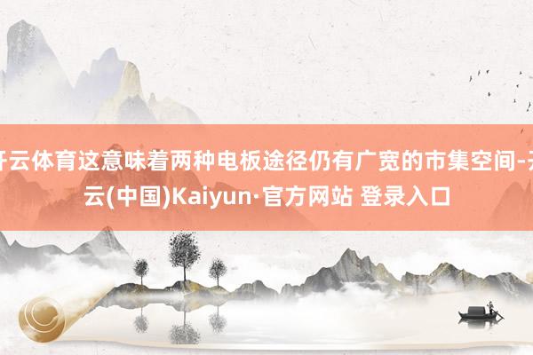 开云体育这意味着两种电板途径仍有广宽的市集空间-开云(中国)Kaiyun·官方网站 登录入口