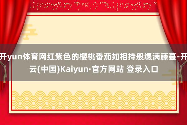 开yun体育网红紫色的樱桃番茄如相持般缀满藤蔓-开云(中国)Kaiyun·官方网站 登录入口