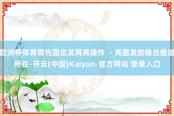 欧洲杯体育需先固定发网再操作  - 亮面发胶稳当蹙迫所在-开云(中国)Kaiyun·官方网站 登录入口